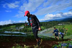 BIB: 
                            <button type="button" onclick="openModal(13382377)" class="btn btn-primary btn-sm float-right btn-popup" data-toggle="modal" data-target=".modal-high-quality">
                        <i class="fas fa-shopping-cart"></i> Add to Cart
                    </button>
                                            <button type="button" onclick="isThisMe(13382377, true)" class="btn btn-success btn-sm float-right btn-popup btn-isme hidden" data-toggle="tooltip" data-placement="bottom" title="นี่คือรูปของคุณใช่ไหม คลิกที่นี่เพื่อเอาเข้าอัลบั้ม">
                        <i class="fas fa-plus"></i> Add to album
                    </button>
                    <button type="button" onclick="isThisMe(13382377, false)" class="btn btn-warning btn-sm float-right btn-popup btn-isnotme hidden">
                        <i class="fas fa-ban"></i> Remove from album
                    </button>